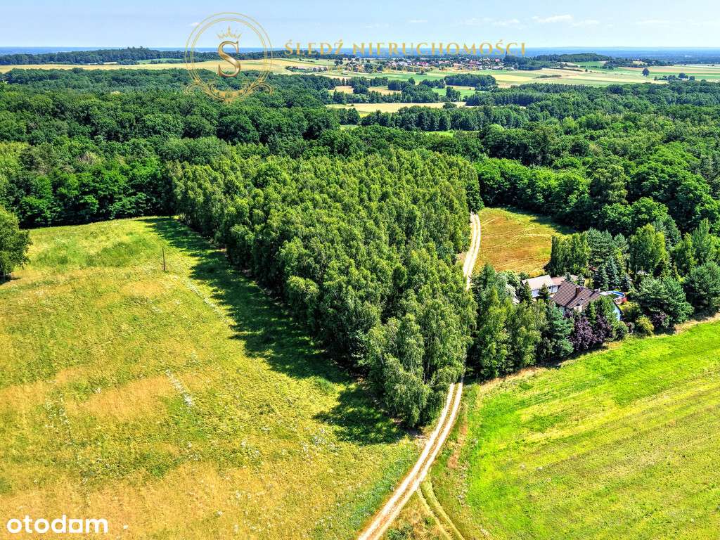 1,2 ha Działka Budowlana 45 min od Wrocławia + Las-8