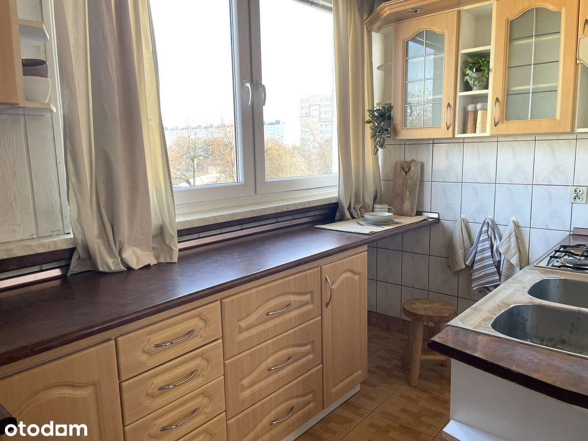 Dwa duże pokoje skąpane słońcem-6