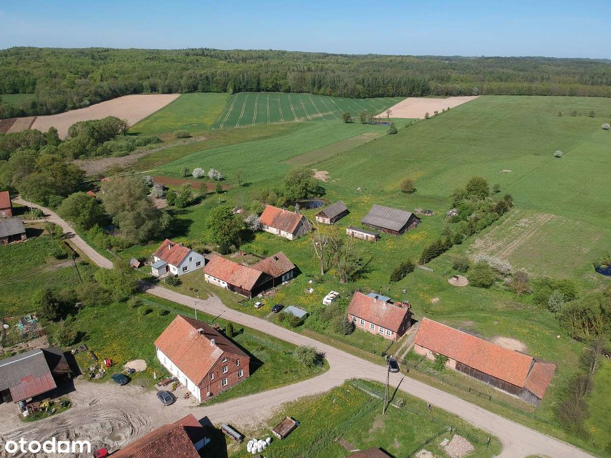 Dom - Włóczyska, gmina Młynary - Pełny obrazek: 4/19