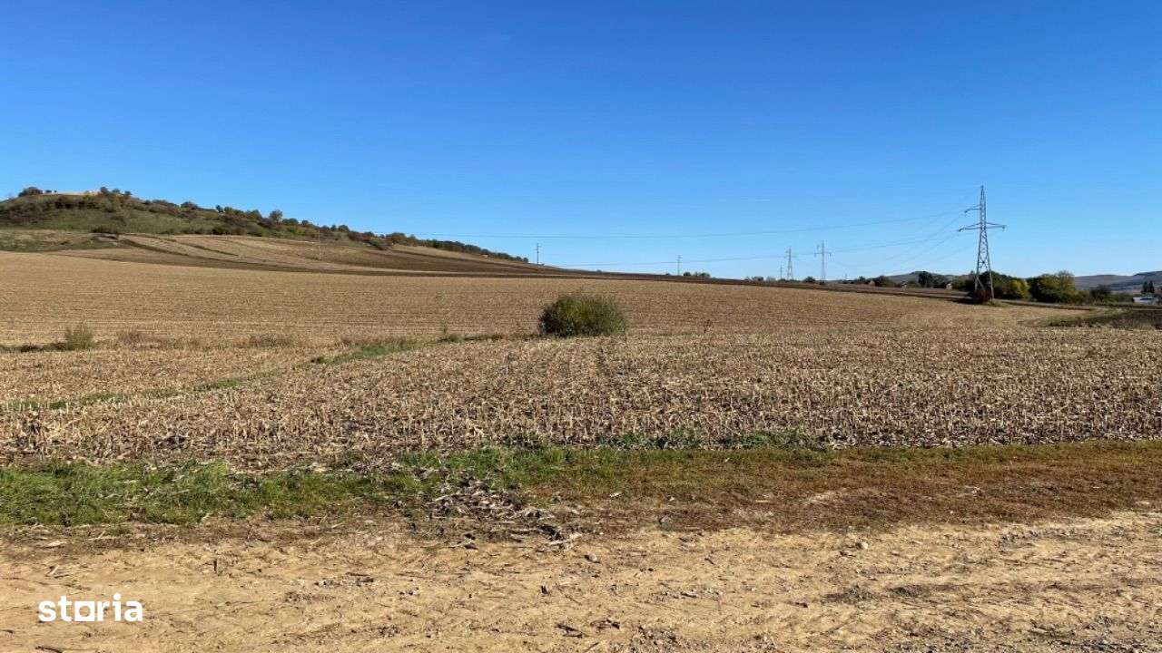 Teren arabil 380 ha în Banat, - Imagine principală: 2/2