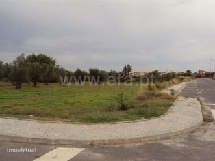 Lote / Fundão, Atalaia do Campo