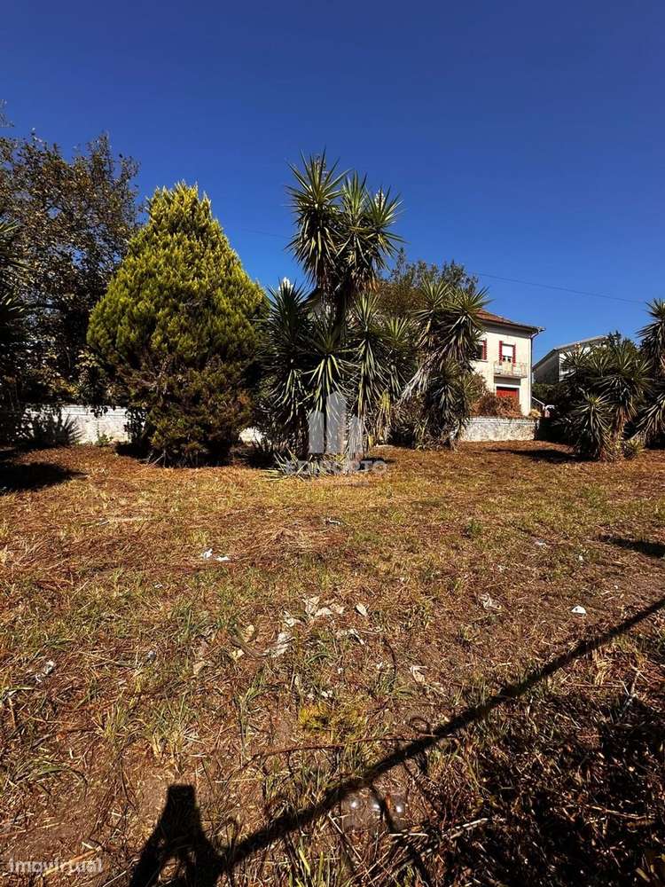 Moradia e Terreno com 3.000 m² em Lordelo- Paredes-11