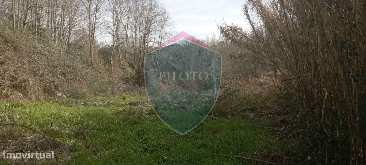 Quinta  Venda em Silgueiros,Viseu-10