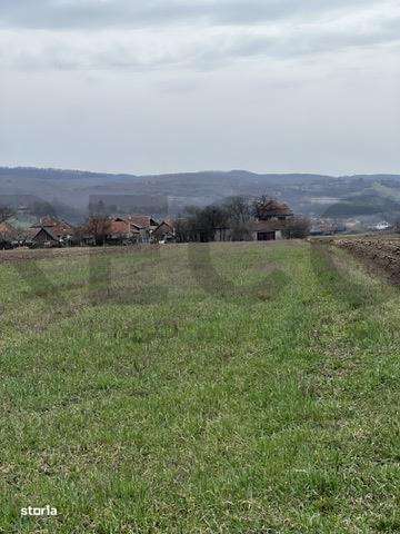 RECO, teren intravilan in Vadu Crisului - Imagine principală: 2/3