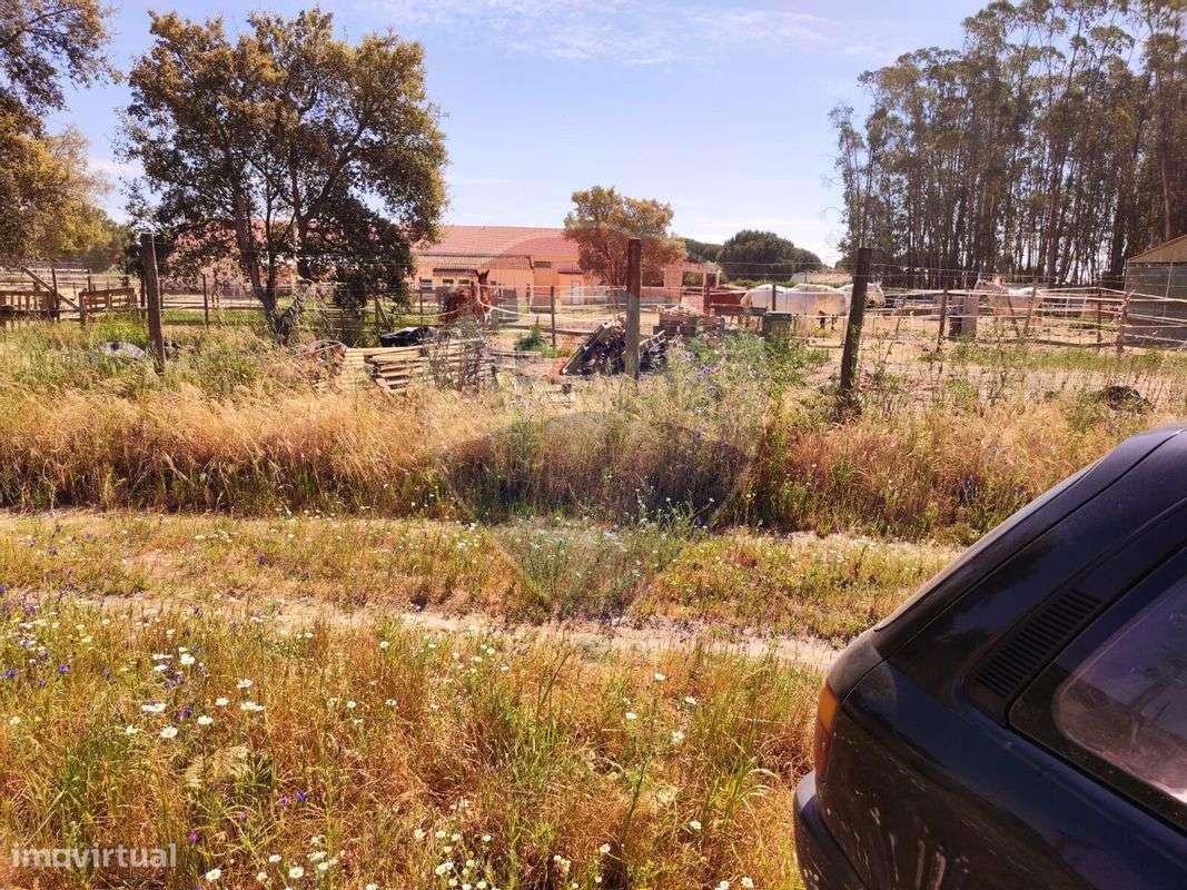 Terreno  para venda - Grande imagem: 5/22