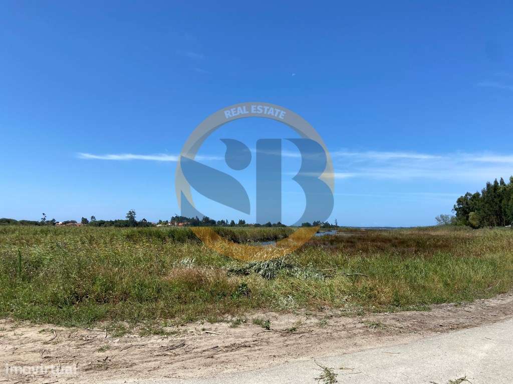 Terreno Rustico Válega Ovar - Grande imagem: 4/8