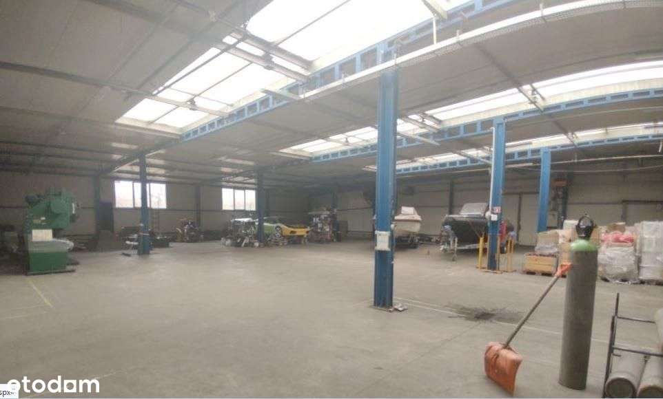 Hala/Magazyn, 6 164 m², Poznań - Pełny obrazek: 5/20
