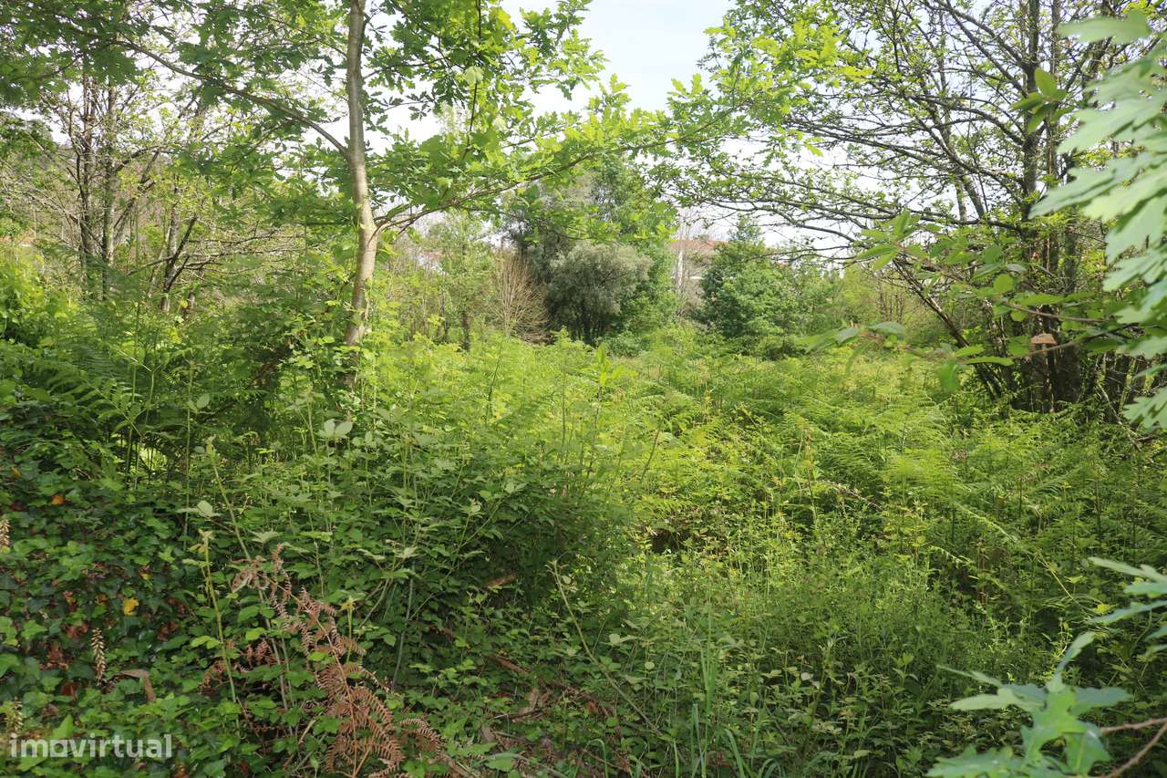 Moradia isolada com jardim e terraço em Amares-18