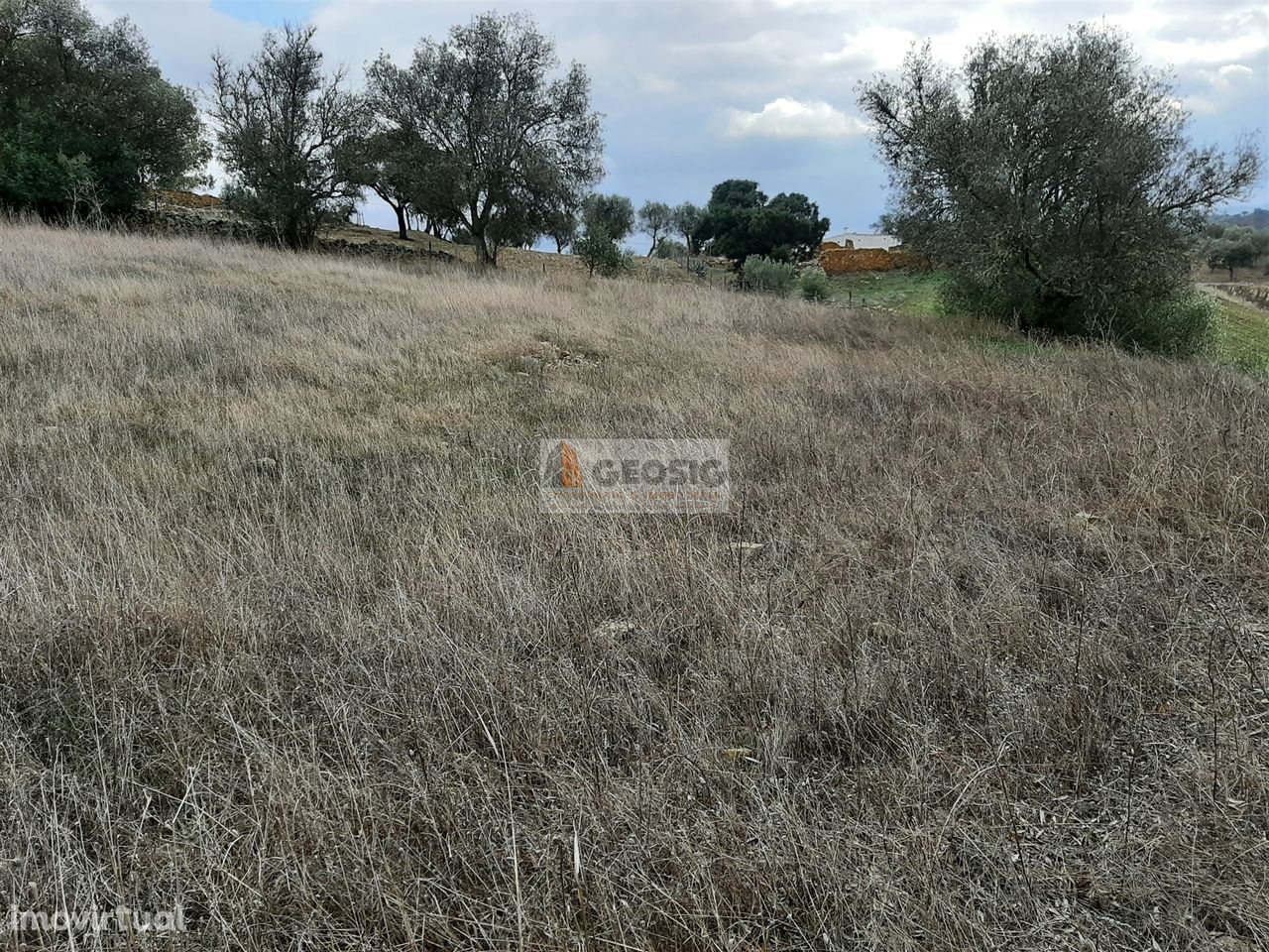 Terreno Rústico  Venda em Santa Cruz,Almodôvar