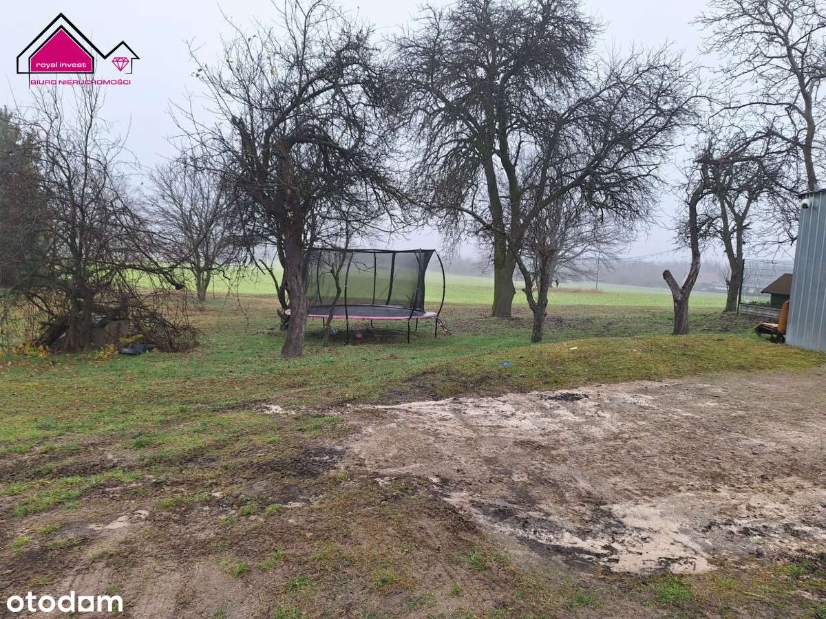 Działka z lasem - zabudowania w cenie gruntu-9