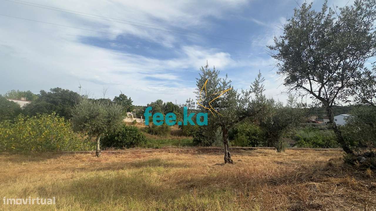 Quintinha-17