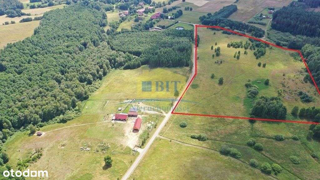 Kompleks działek z warunkami zabudowy w Gronowie - Pełny obrazek: 5/6