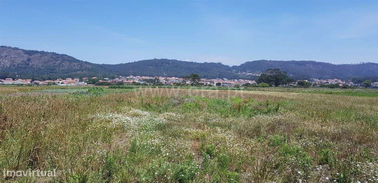 Terreno agricola junto ao Mar, Esposende - Grande imagem: 5/8