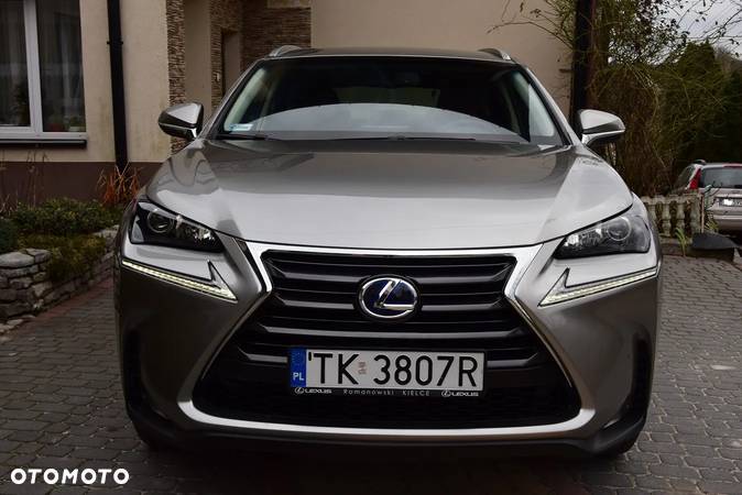 Lexus NX - 16