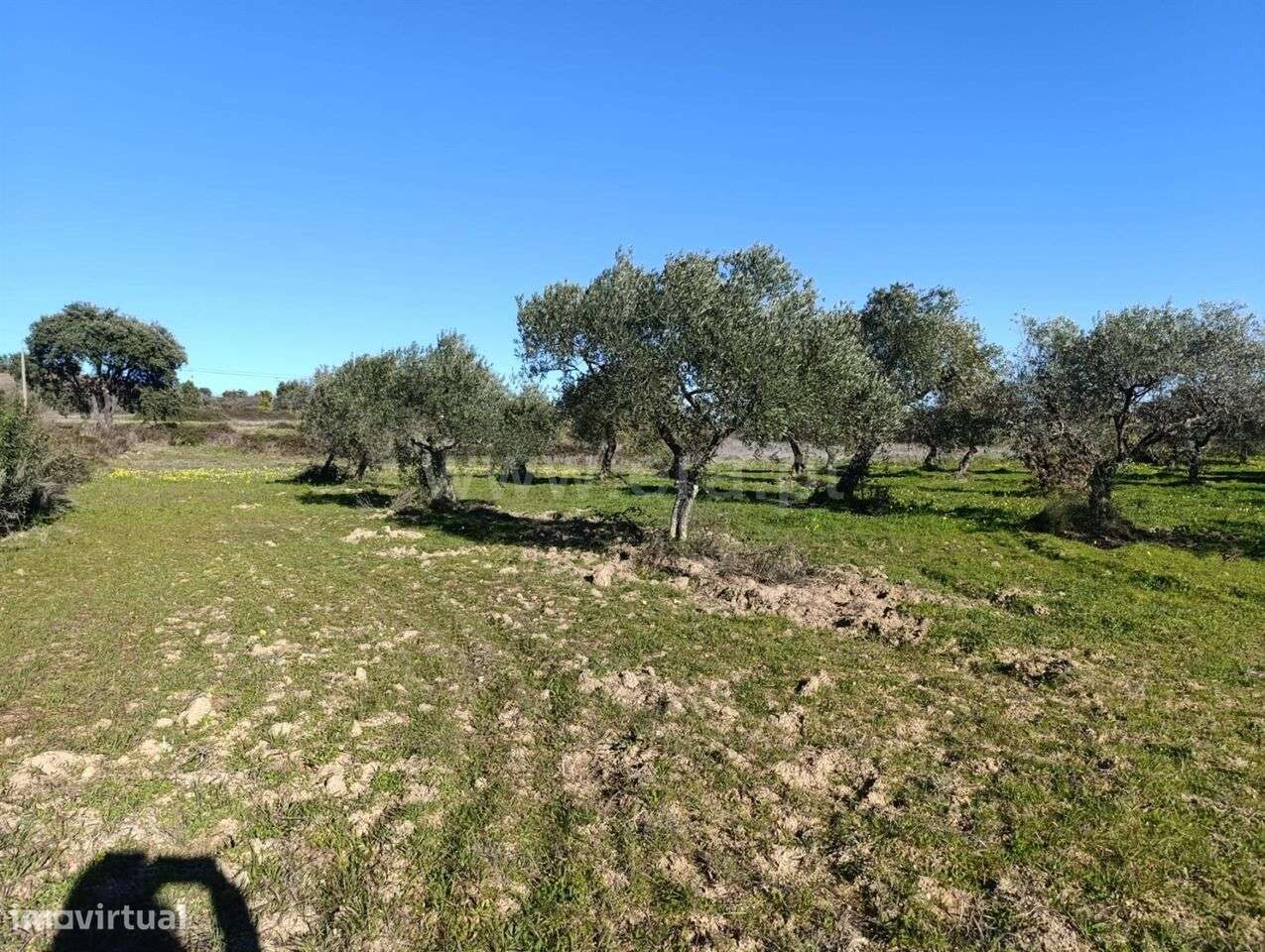 Terreno / Fundão, Catrão - Grande imagem: 4/4