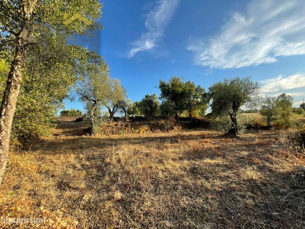 Terreno Rústico, com 1560m², em Sobral do Campo - Grande imagem: 2/12