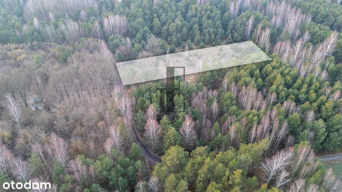 Działka w otulinie lasu | Henryków - Pełny obrazek: 4/5