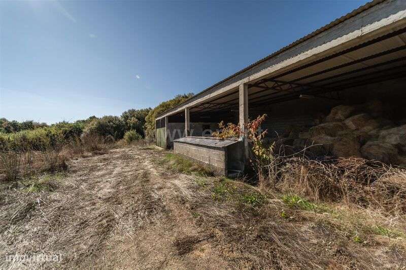 Herdade T6 / Covilhã, Boidobra-12