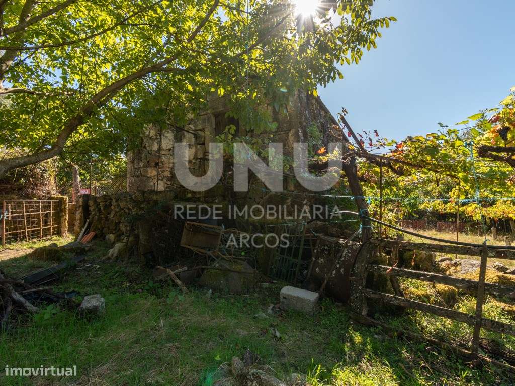 TERRENO AGRÍCOLA COM CASA DE PEDRA DE DOIS PISOS - Grande imagem: 4/24