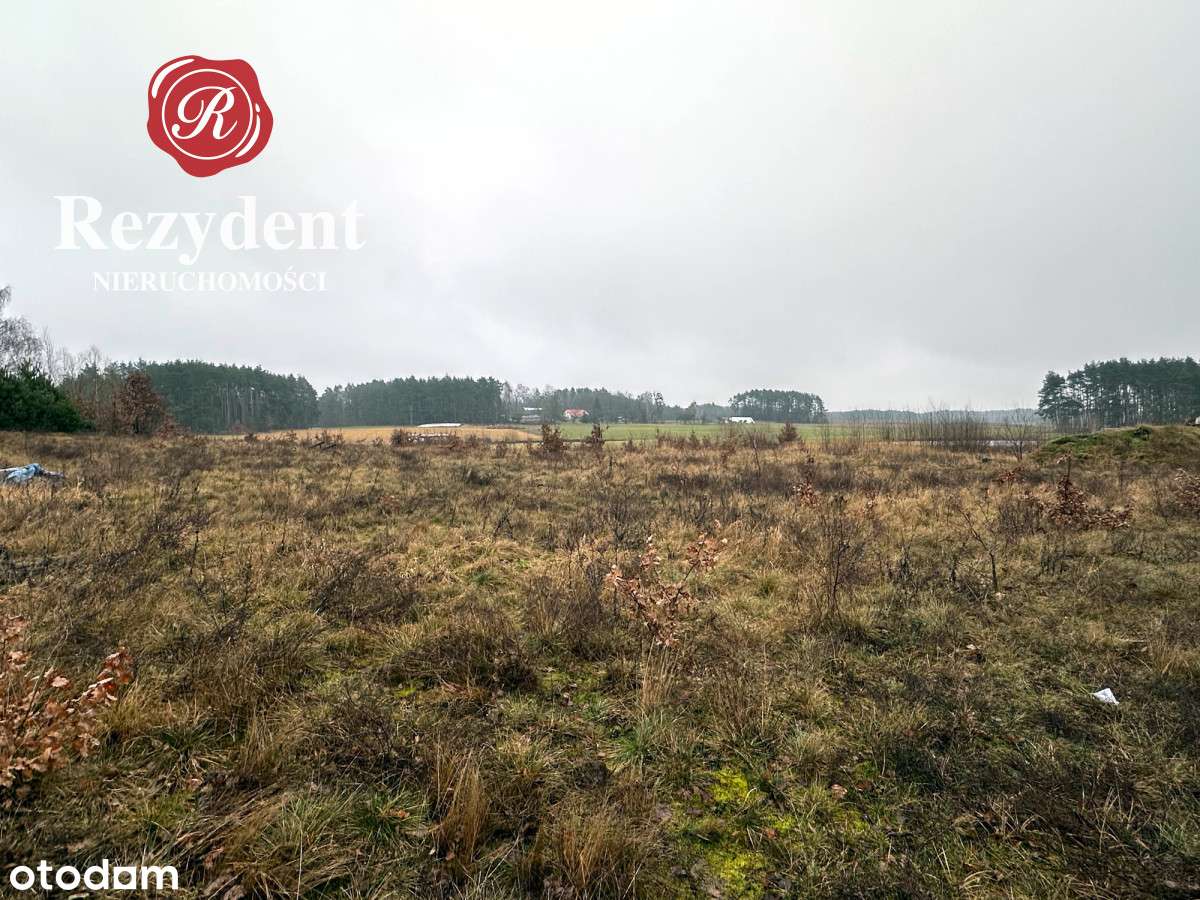 Działka na obrzeżach Sępólna Krajeńskiego - Pełny obrazek: 4/9