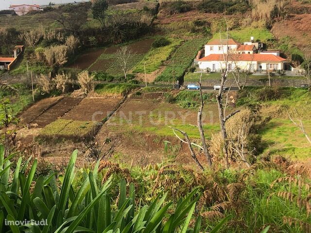 Terreno Rustico - Ponta do Pargo