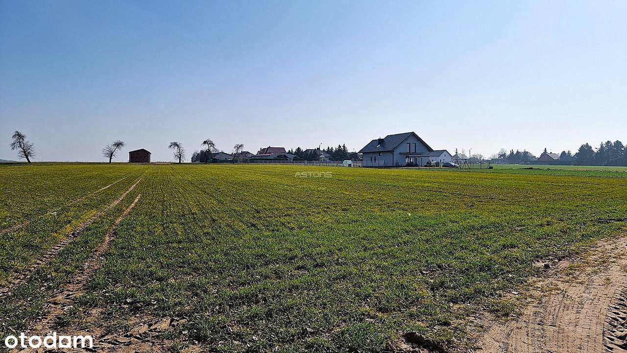 UROKLIWA DZIAŁKA BLISKO JEZIORA!-17