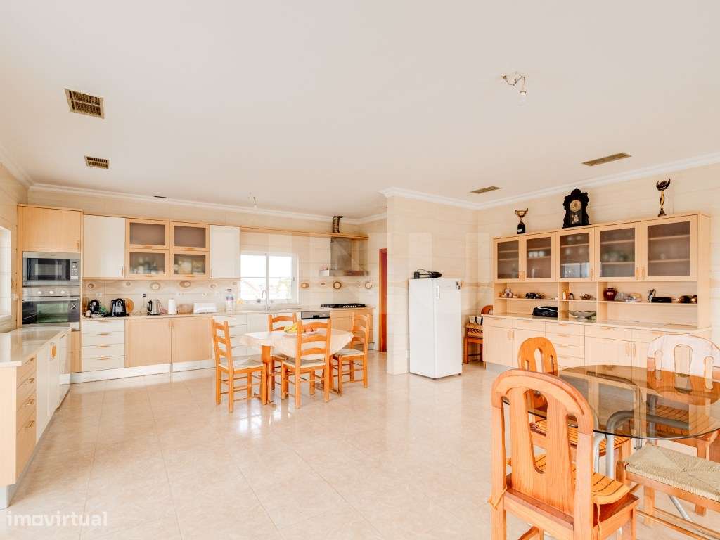 Quinta com 4,8 hectares e casa T9 em Vila Nova da Baronia-27