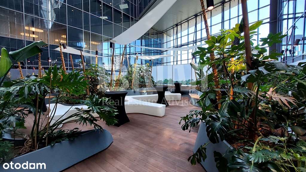 Gotowe biuro przy stacji metra Dworzec Gdański - Pełny obrazek: 4/8