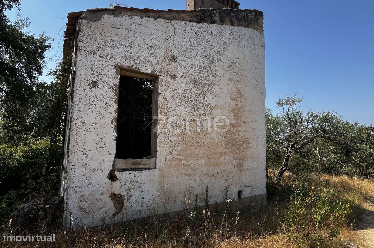 Terreno de 23 hectares – SOBRAL DO CAMPO - Potencial Construção - Grande imagem: 5/26