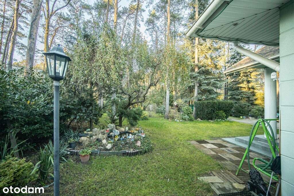 Black Friday 2025: dom w lesie w promocyjnej cenie - Pełny obrazek: 4/20