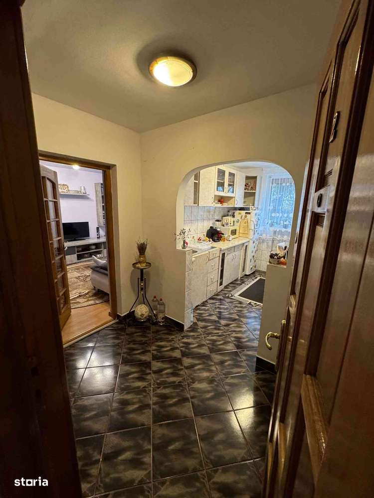 Ap 2 cam, parter, Aluminei, 88500 euro-4