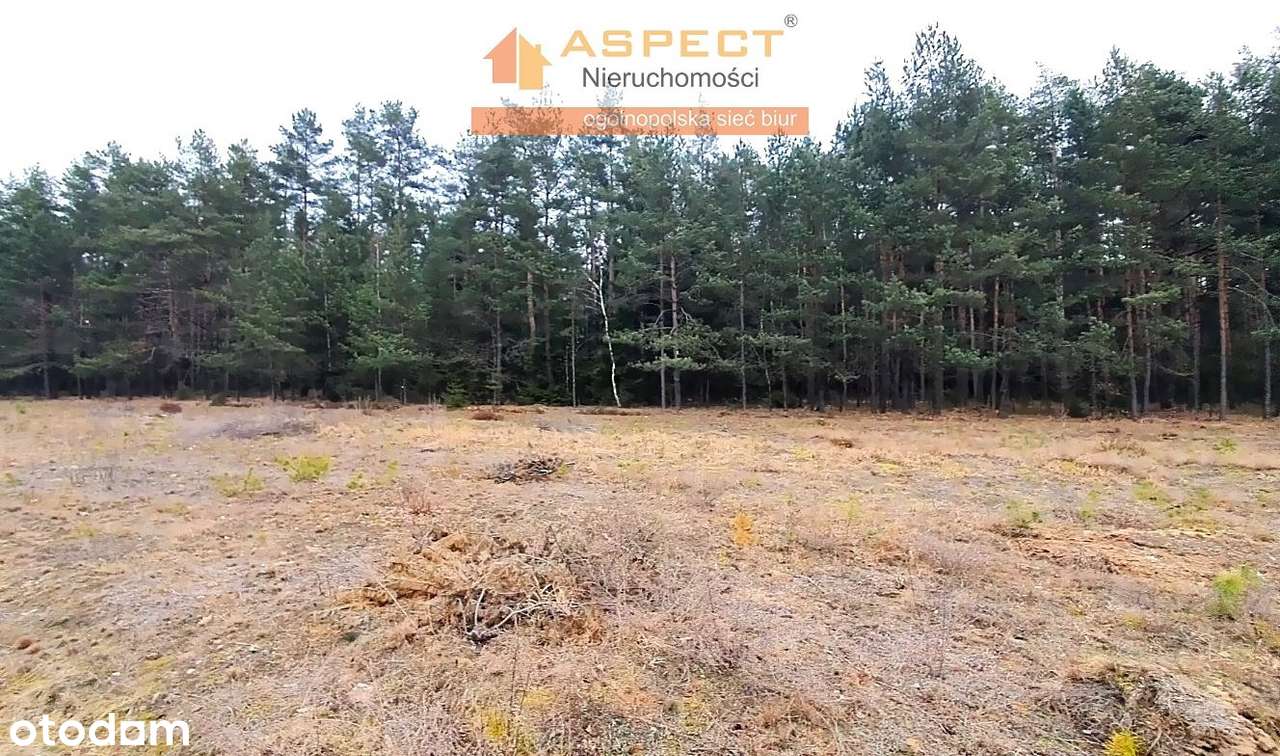 Piękna działka w otulinie lasu! Super lokalizacja - Pełny obrazek: 4/6