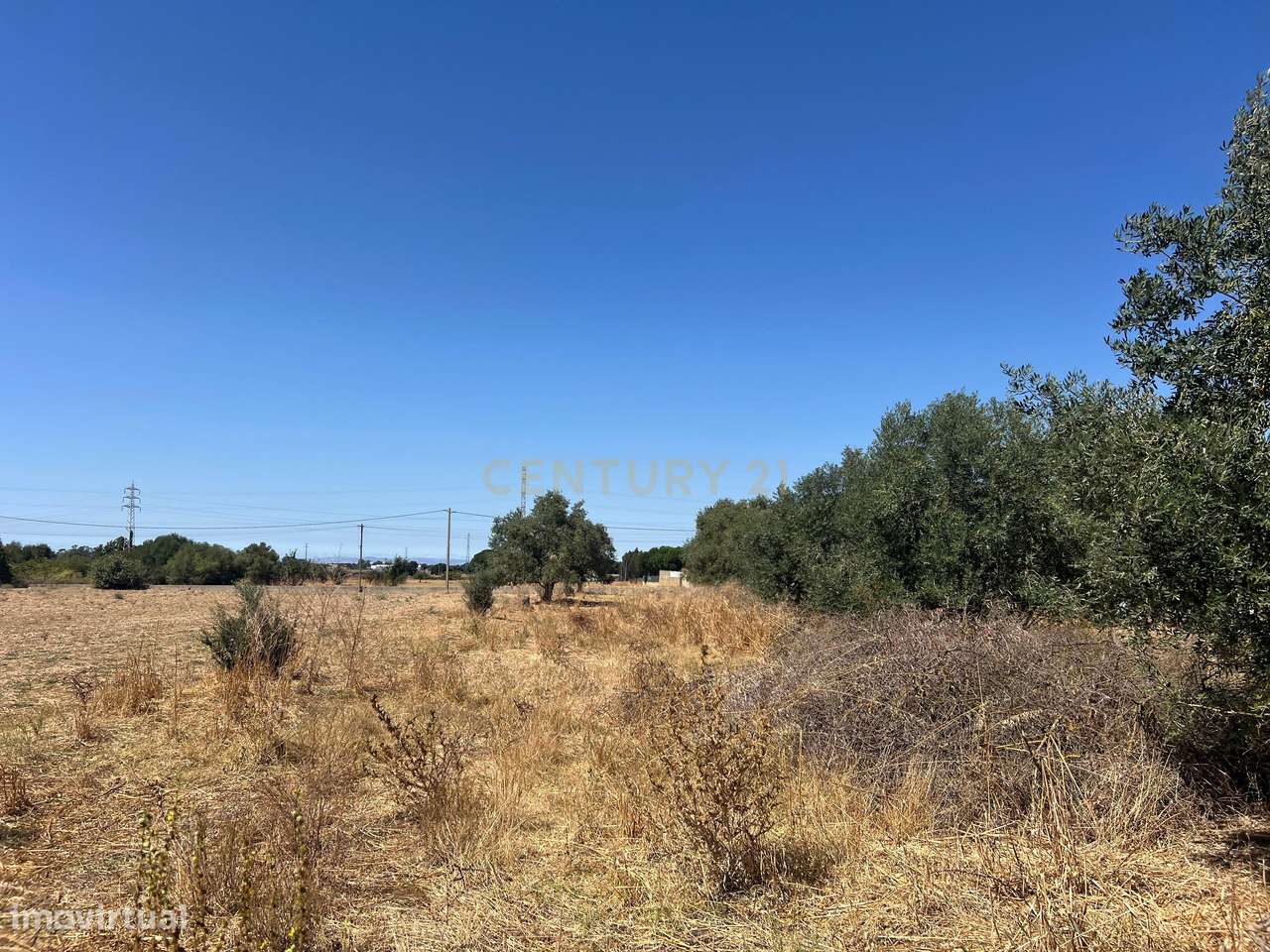 Terreno Rústico na Quinta do Anjo - Grande imagem: 3/15