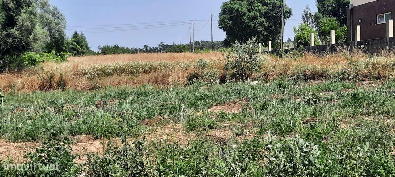 Terreno à venda em Ouca, Vagos - 44.500€ - Grande imagem: 5/9