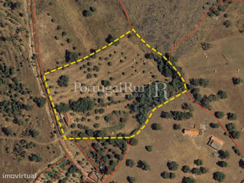 Quintinha de 1.8 hectares em Medelim-30