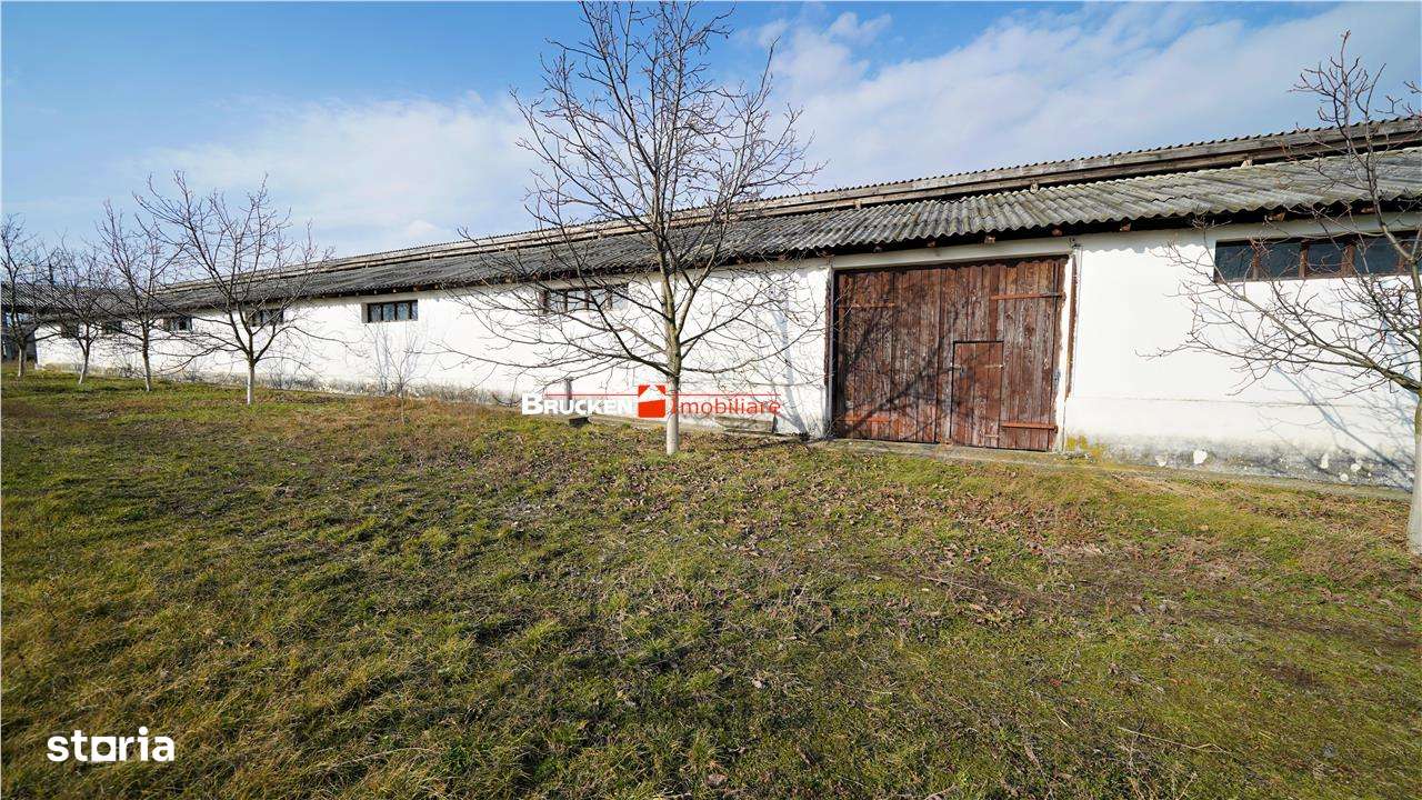 MICRO-FERMA + CASA IN VOIVOZI - BIHOR - Imagine principală: 1/20