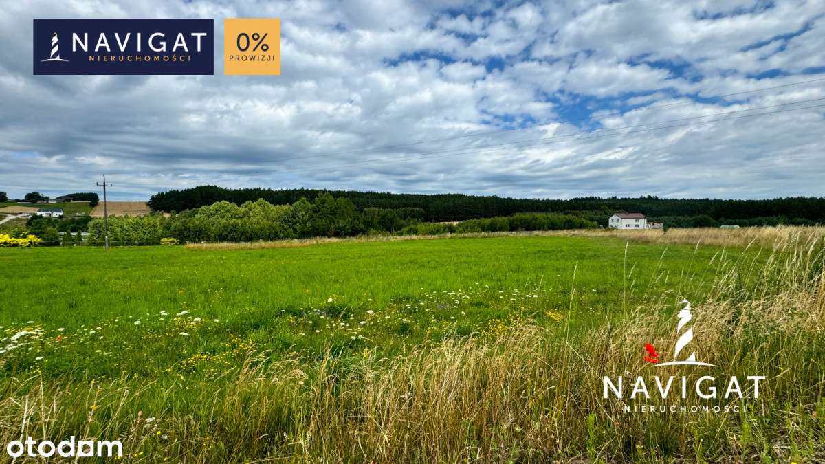 Inwestycja dla dewelopera! - Pełny obrazek: 4/8