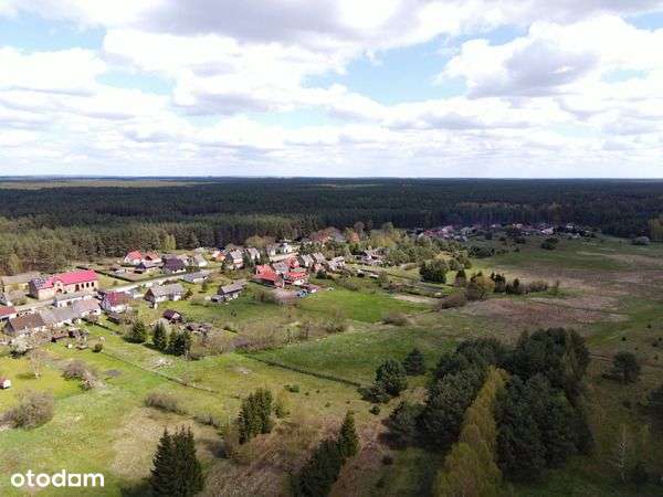 Działka rolna z własnym laskiem, Rybakowo. - Pełny obrazek: 4/6