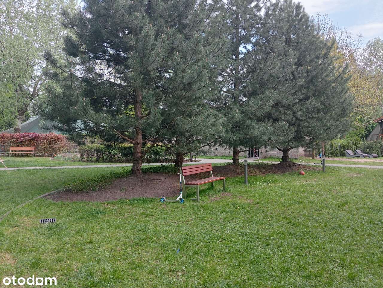 Wynajmę od 1 marca pokój Vermera Park Bitwy Warszawskiej - Pełny obrazek: 5/7