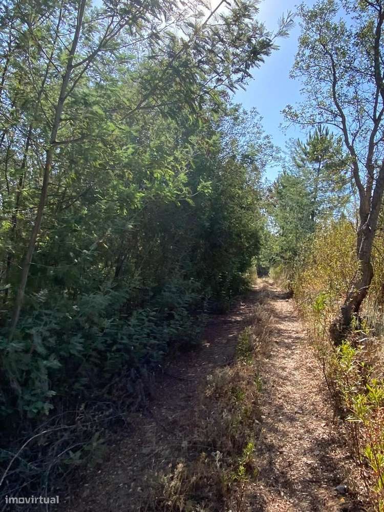 Terreno - Grande imagem: 3/9