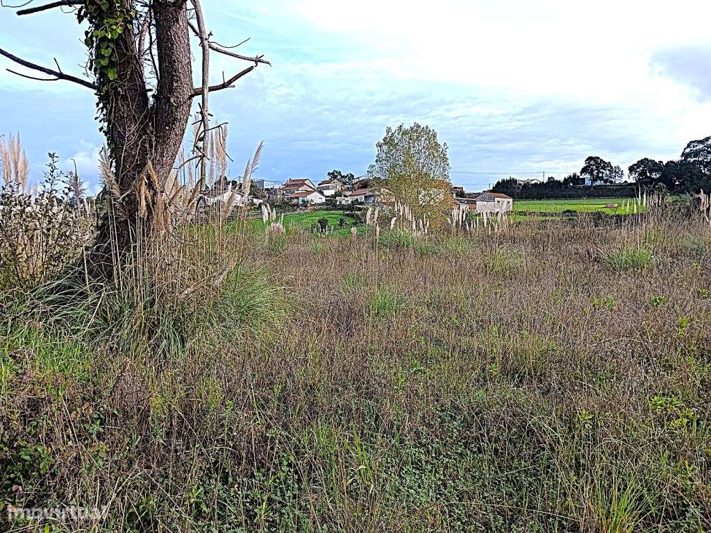 Terreno com 69m de frente com uma Localização espetacular em Angeja - Grande imagem: 4/21