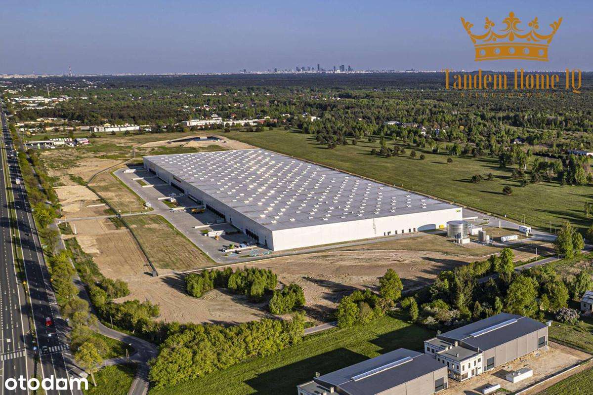 Magazyn 1000m2 do wynajęcia w parku logistycznym - Warszawa - S7 Gdańs - Pełny obrazek: 5/7