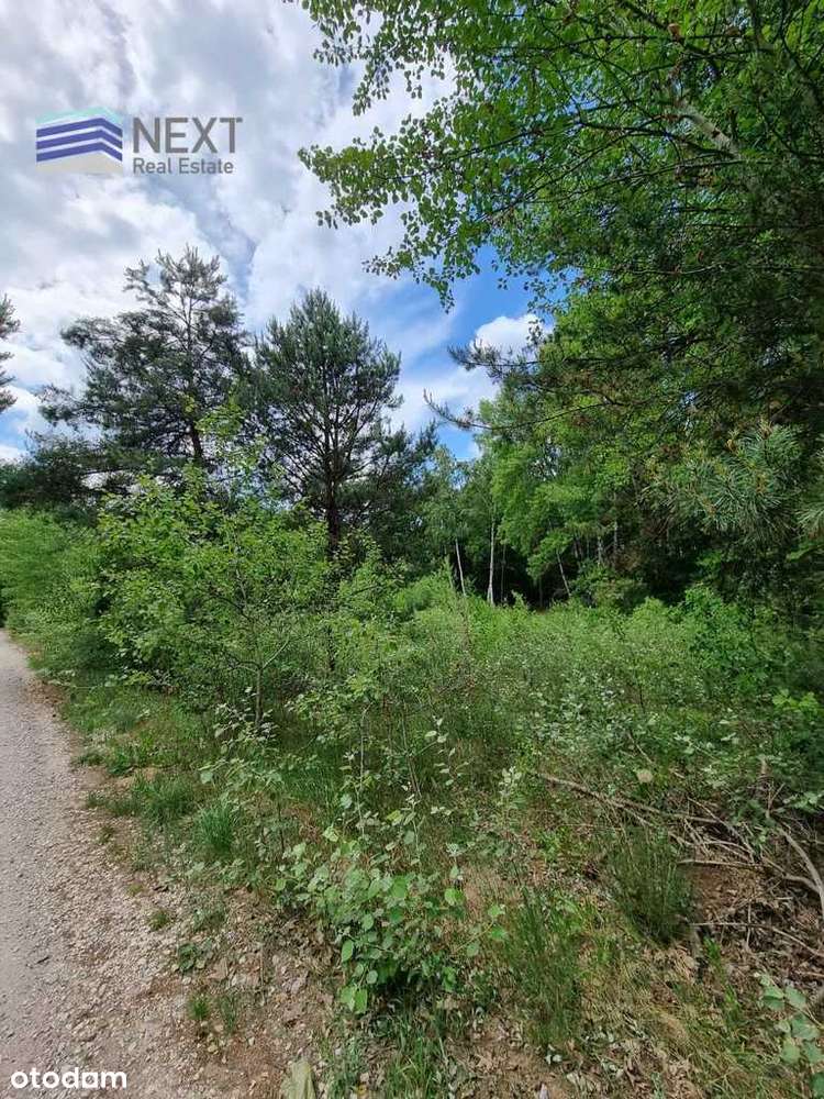 Na sprzedaż działka w bardzo atrakcyjnej cenie-4