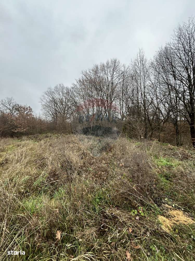 Teren 1,200mp si 400m2 cota drum Satu Nou de Jos / Strada Principala-4