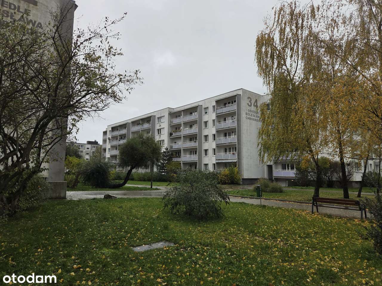 Funkcjonalne mieszkanie o pow. 49,9 m² na Piątkowie (+loggia, piwnica) - Pełny obrazek: 2/10