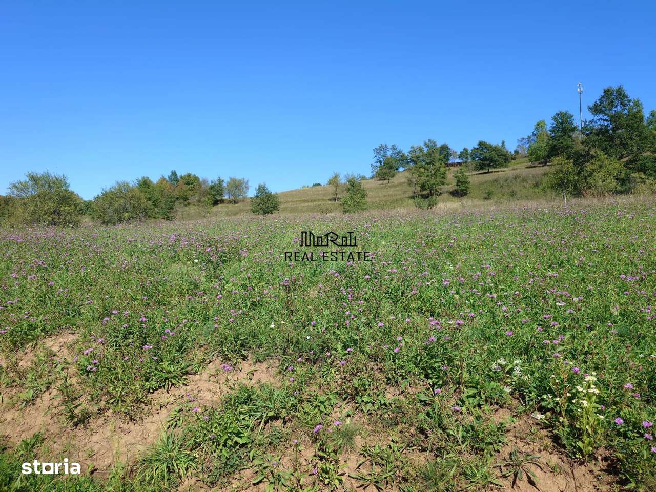 Teren intravilan 8757 mp cu potential turistic si acces direct la E79-13