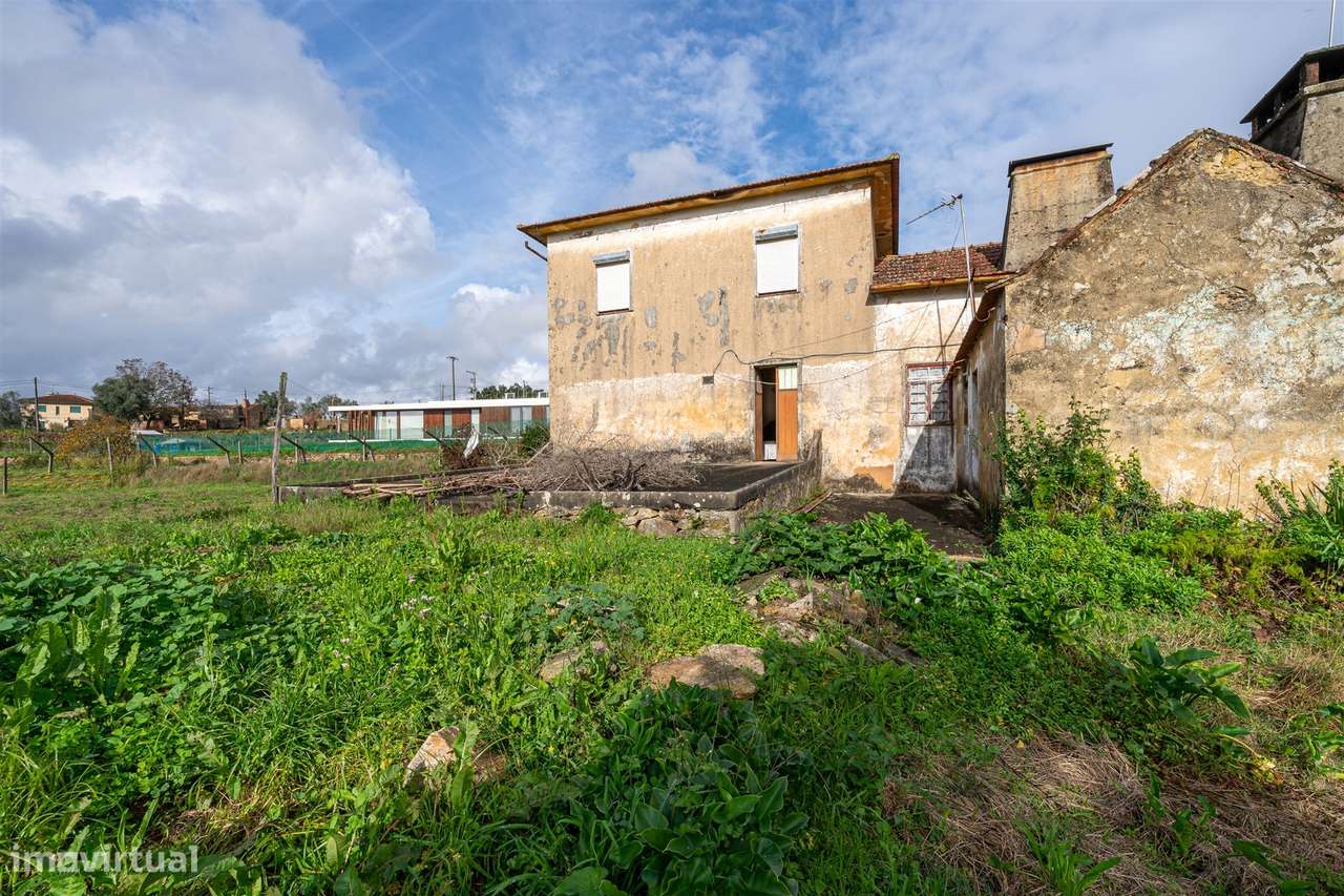 Moradia Isolada T2 Venda em Pinheiro da Bemposta, Travanca e Palmaz,Ol-21
