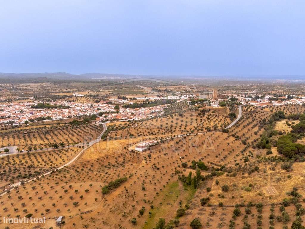 Quinta em Portel - 4,3 Ha de Tradição e Conforto-41
