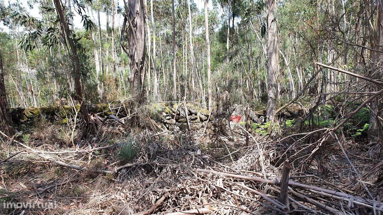 Terreno com 31.040 m2 em Cabeceiras de Basto - Grande imagem: 4/12