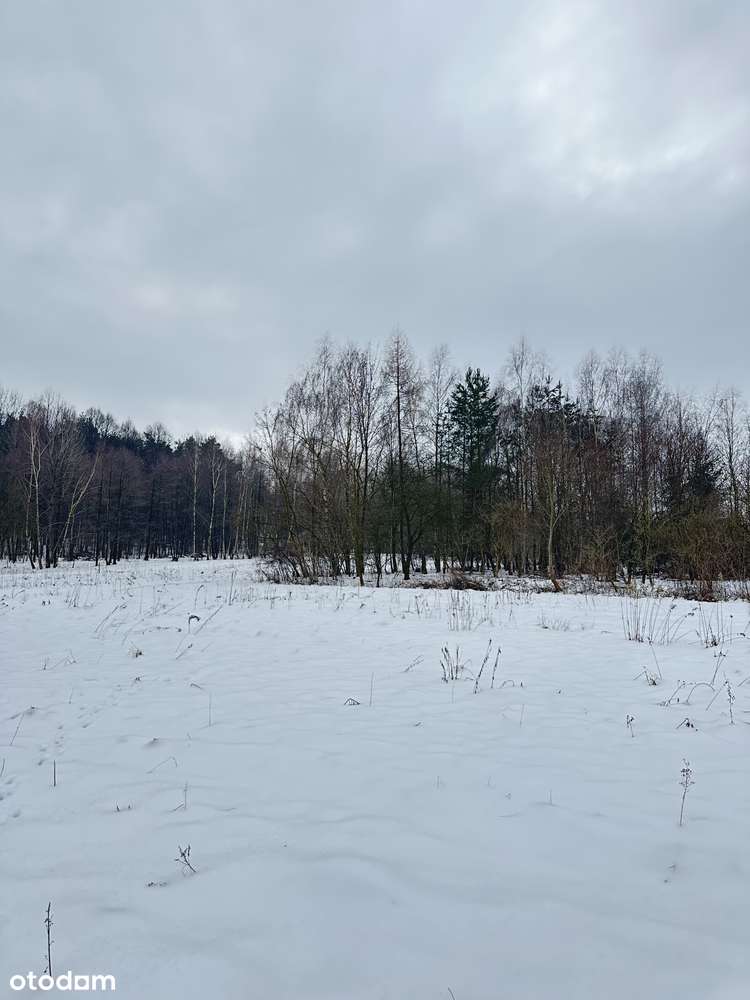 Duża działka pod lasem - Łazany blisko Wieliczki i Gdowa-1